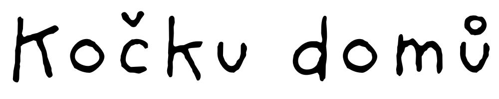 Kočku domů